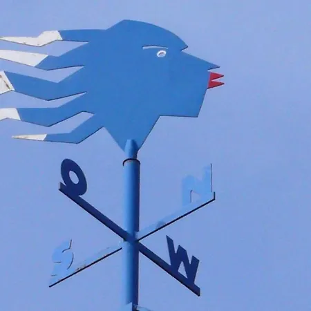 Dhh-ostwind プレロー