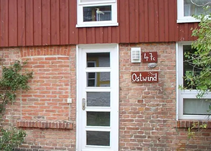 Dhh-ostwind * بريرو